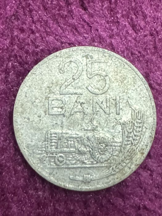 Moneda 25 BANI din 1982