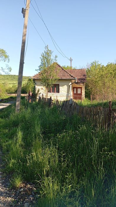 De vânzare casă și teren generos în localitatea Teleac, județul Mureș!