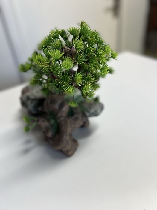 Decor pentru acvariu