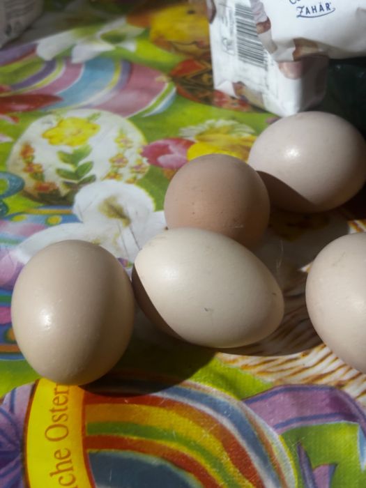 Vând ouă de țară