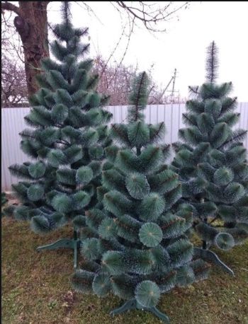 Ёлка пачти новый