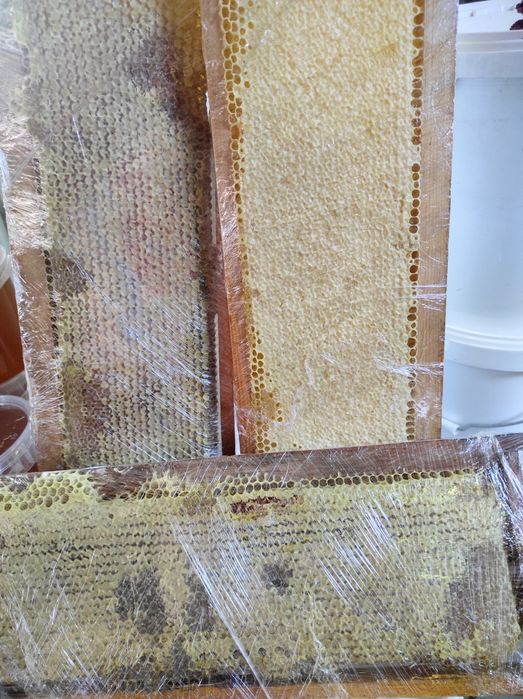 Продам мёд со своей пасики, натуральный