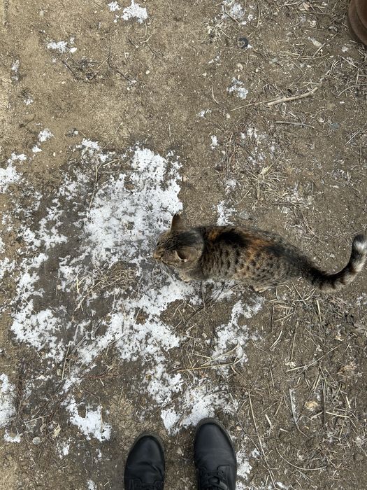 Продаю дачнный участок