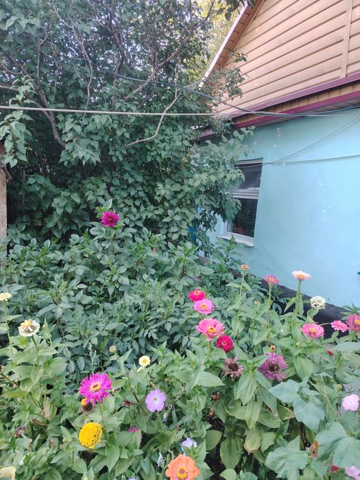 Продаётся дом район жби