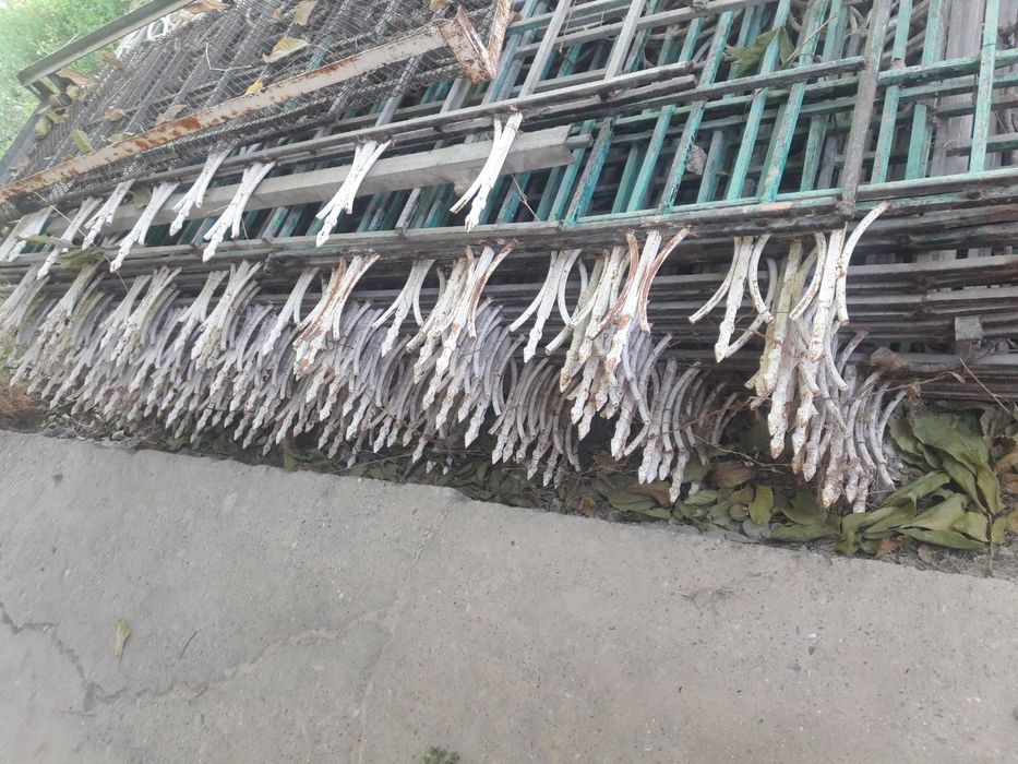 Темир решеткалар