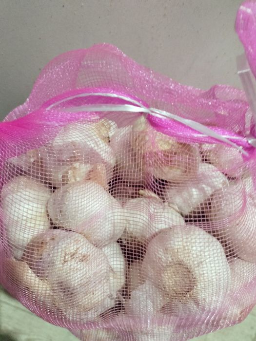 Чесноки  отборние , Сарымсақ