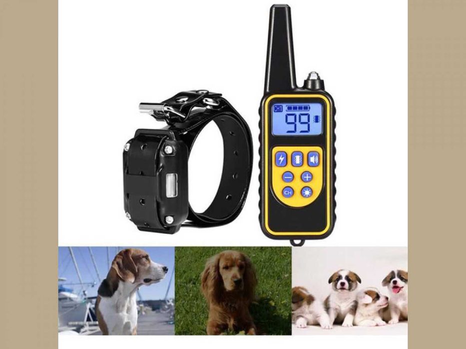 Zgarda electronica de dresaj de caini cu o raza de actiune de 800m