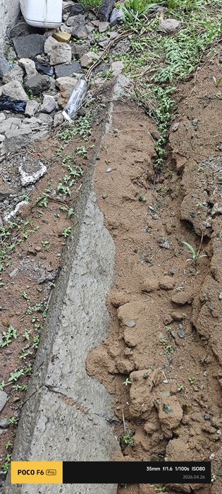 Отдаю бесплатно самовывоз район коктал