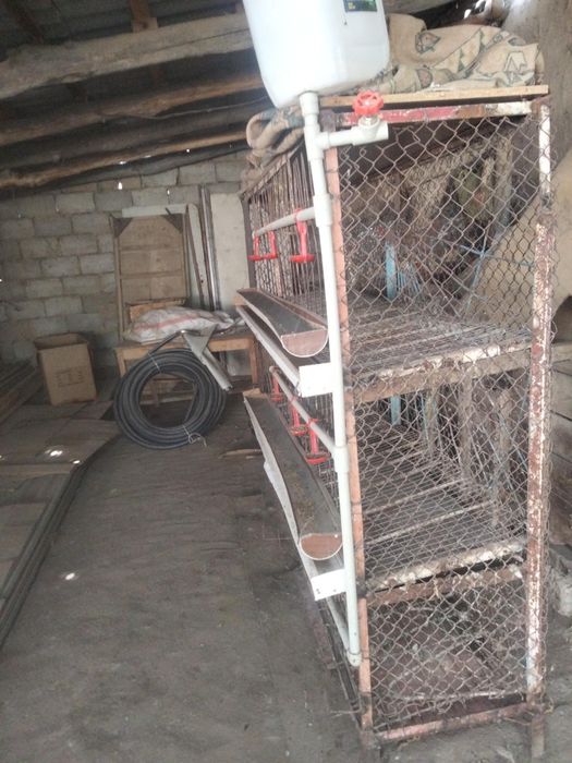 Сетка для куриц с поилкой