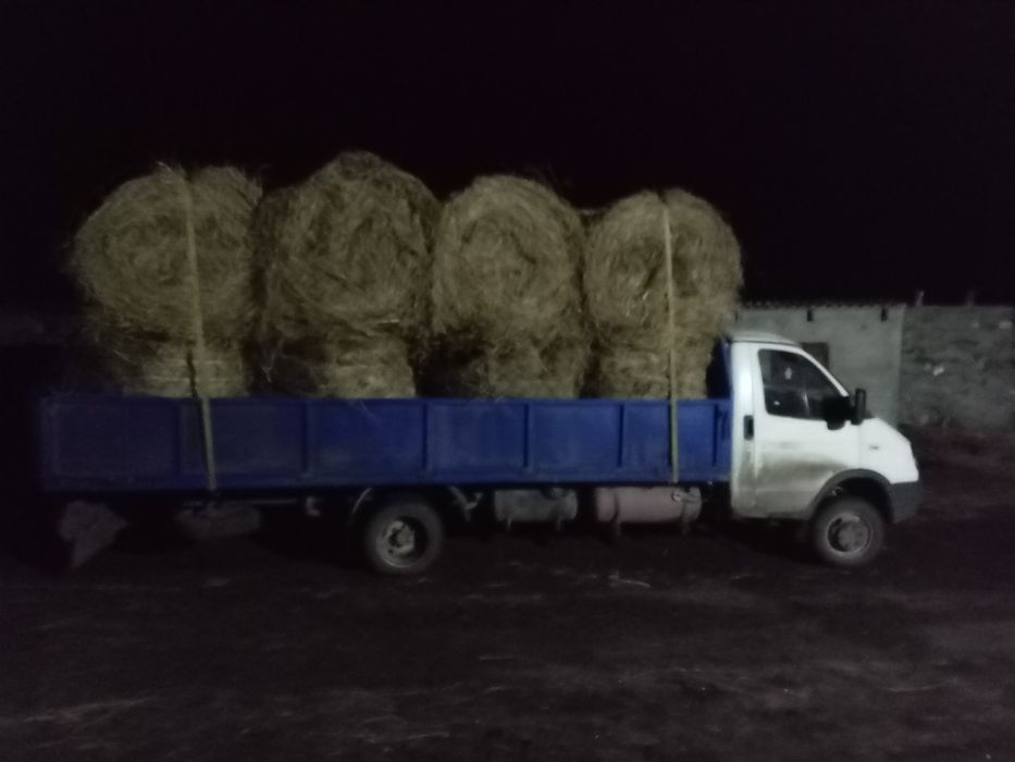 Продам сено в рулонах и тюках