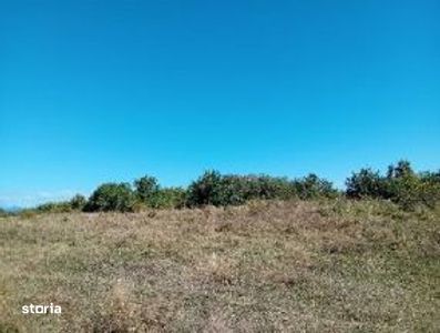Teren extravilan Semlac, ID: R3510576