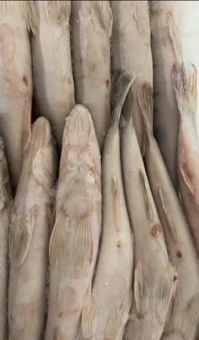 Берш 300-500гр замароженая