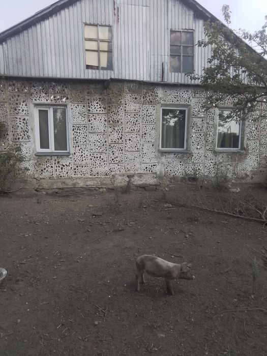 Продаётся дом город Сарань