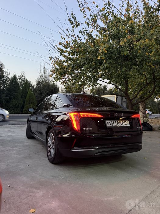 Hongqi eqm5 450km