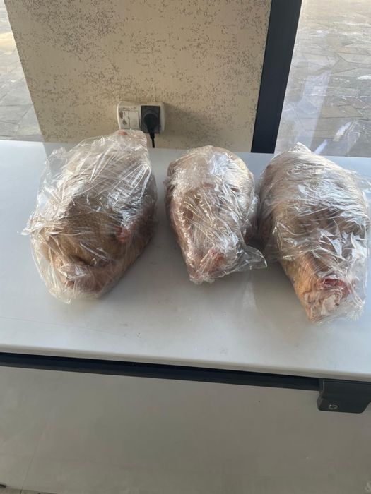 Мясо гуся, қазы еті