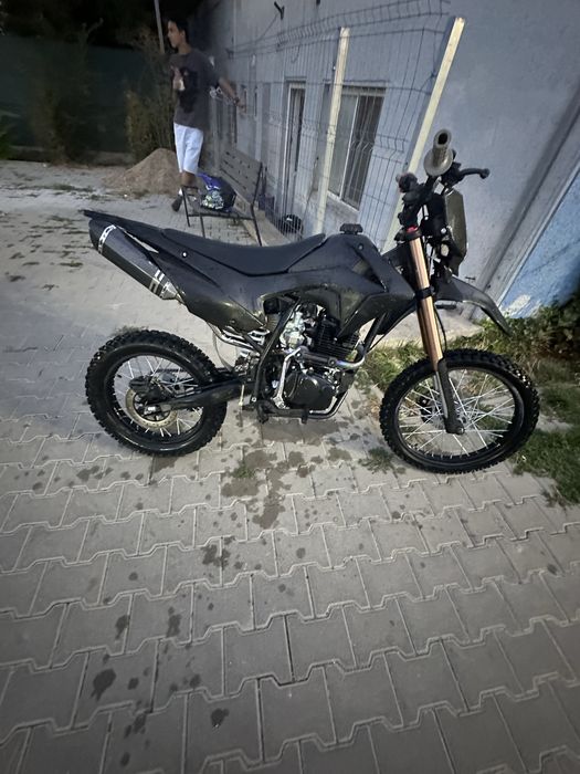 Cross kxd falcon