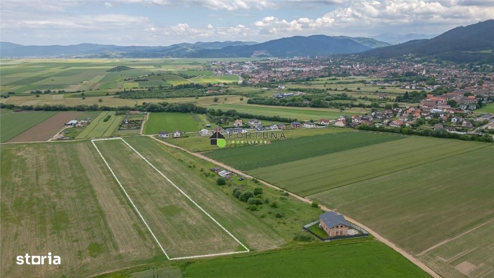 Loturi de grădină 400 mp - Săcele