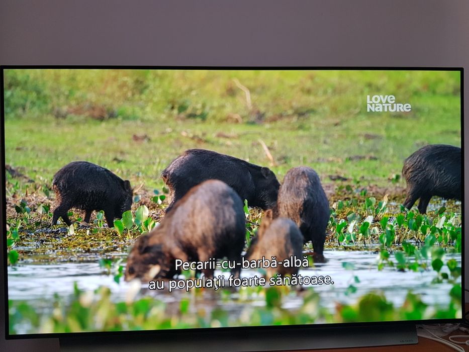 Televizor LG OLED C1 55"