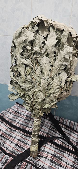 Дубовые веники для бани