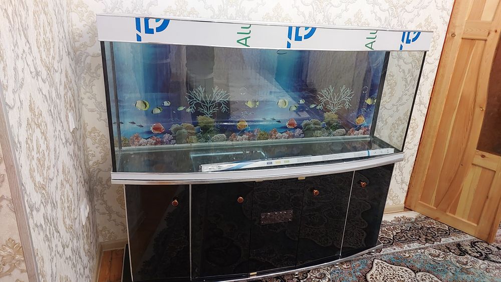 Сотилади аквариум узунлиги 160 см умумий баланлиги 140 см тумба бл