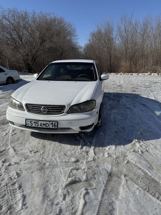 Машина Nissan Maxima