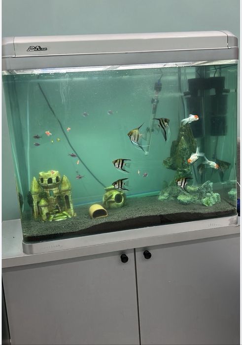 Аквариум 180 литр