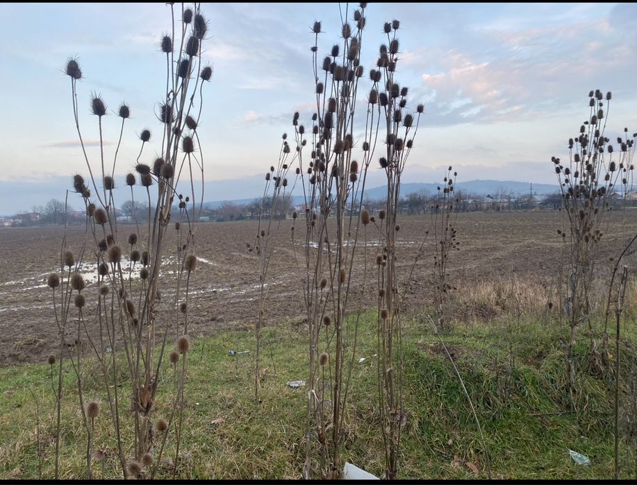 Vand teren extravilan Lipanesti Prahova