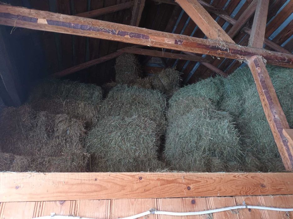 Baloti din otava si fan