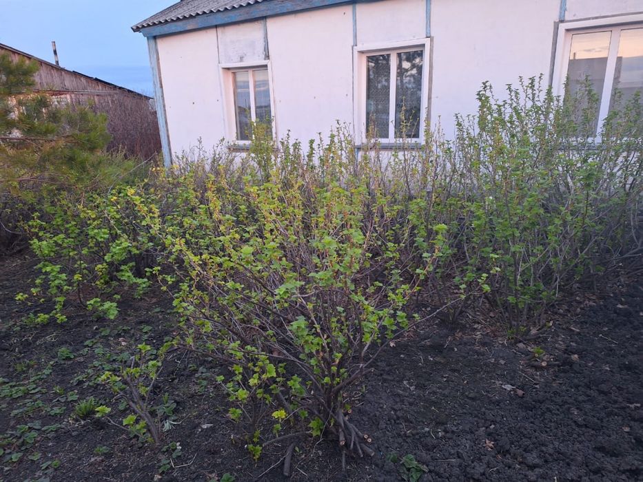 Продам дом и все остальное вместе  , есть торг