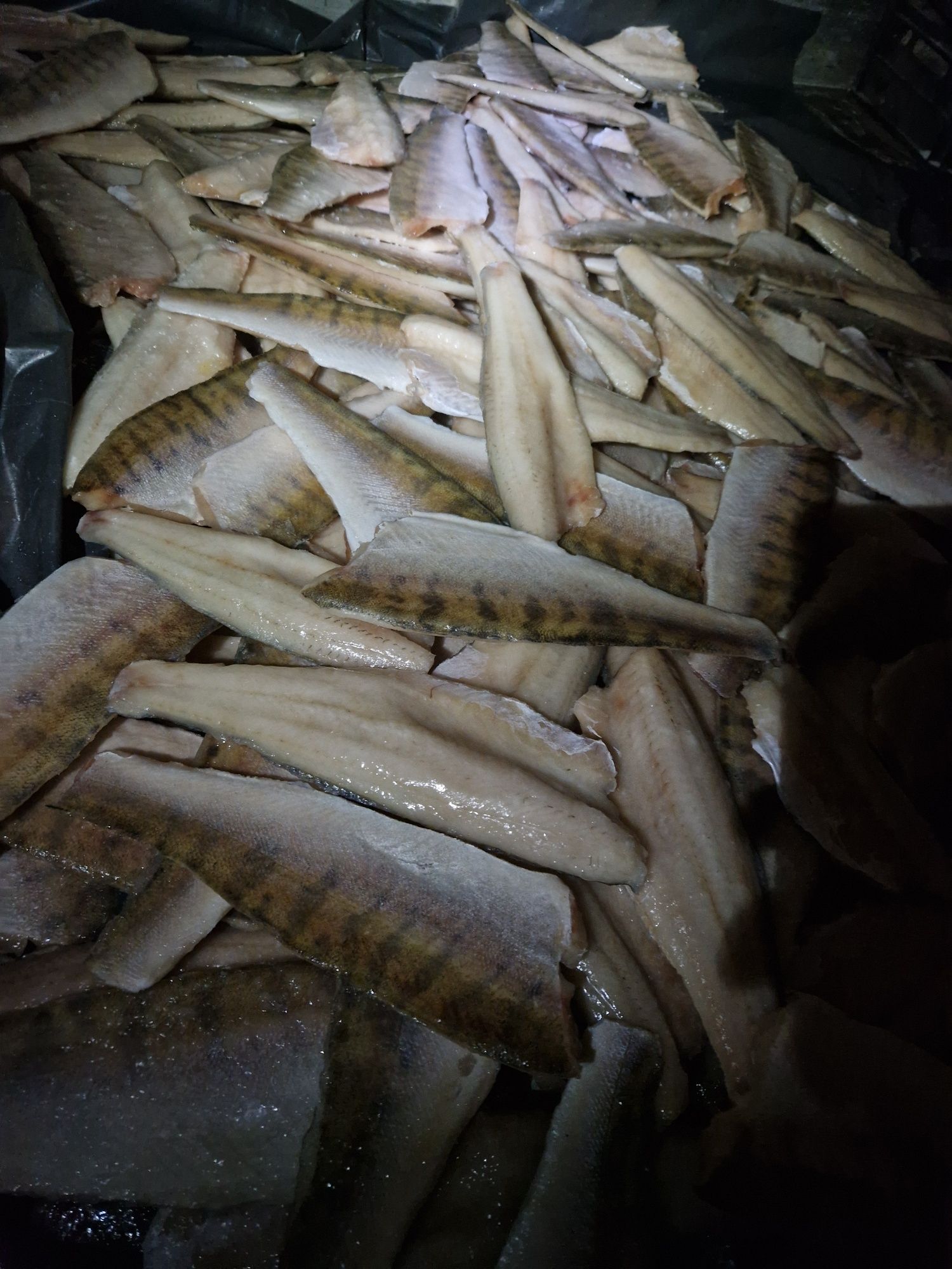 Рыба,сазан змейголова,филе судака,сазана: 1 000 тг. - Продукты питания ...