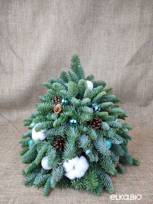 Живой новогодний декор из нобилиса в подарок