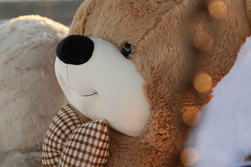 Мягкие игрушки (мишки)