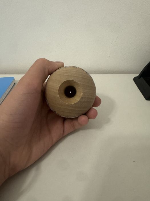 Miguel tama erratic squirrel