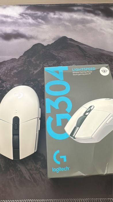 Logitech g304