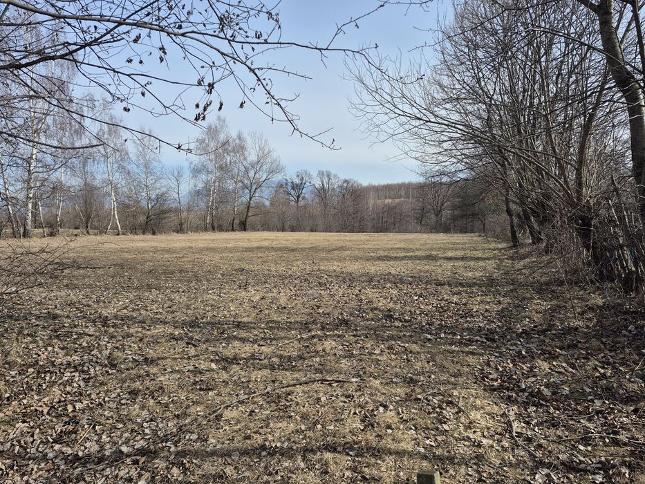 Teren Intravilan 1965mp Bran