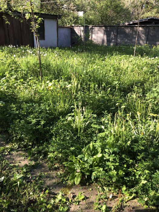 Рязане на дървета,косене на трева.