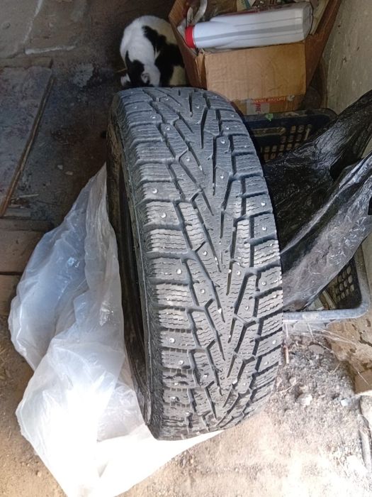 Продам резину зима 185/65/R14