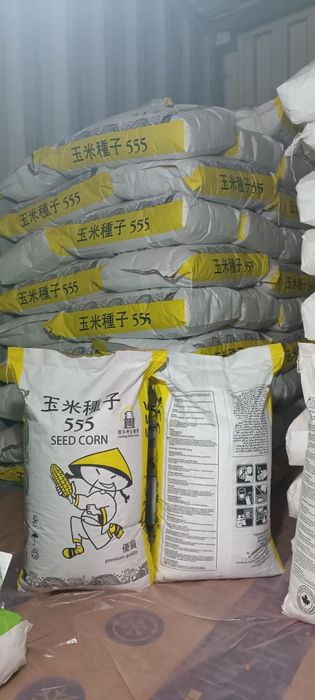 Жугери урыгы семена кукурузы