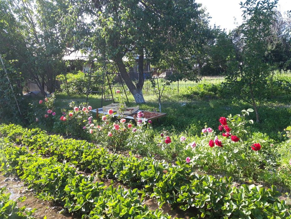 Продам жилую дачу