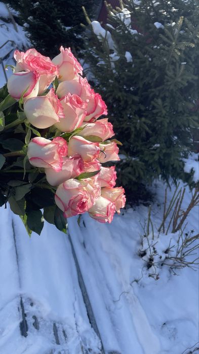 Букеты Тюльпаны Розы