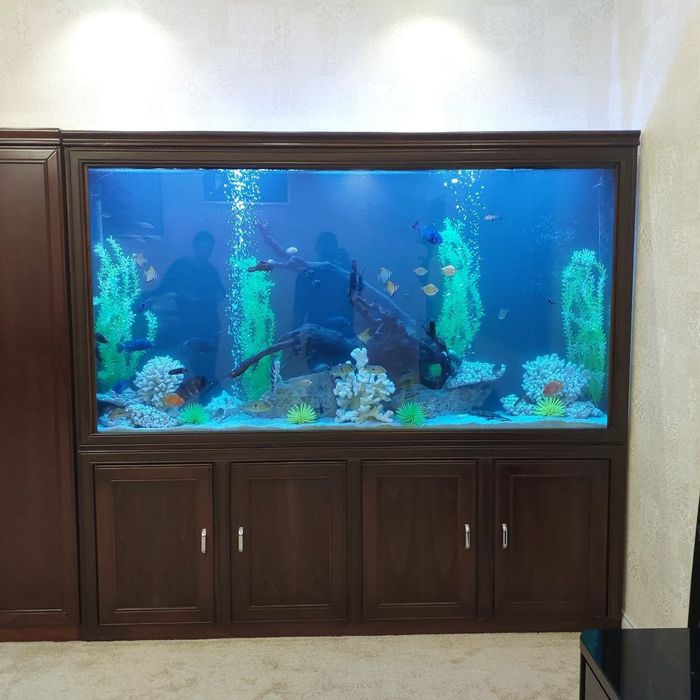 Аквариумлар сотилади ясаш берилади сиз хохлаган коринишда ва усулда