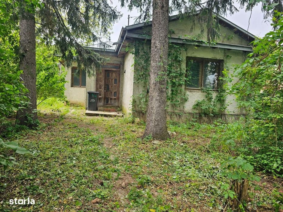 Casa veche plan parter si teren 300 mp Centru Iasi Tg Cucu