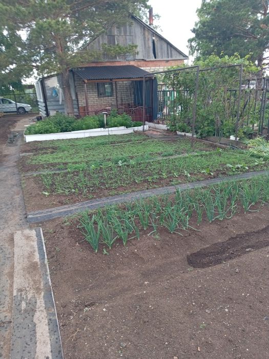 Продам дачу Союз, улица 17, дача 65