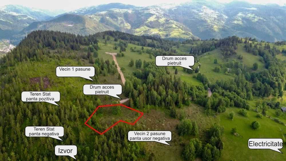 Teren Apuseni cota  1000m,