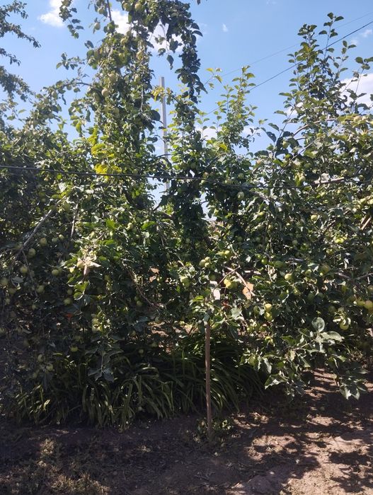 Продам светлый дом.