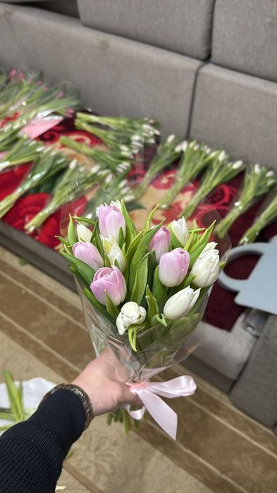 Тюльпаны оптом и в розницу