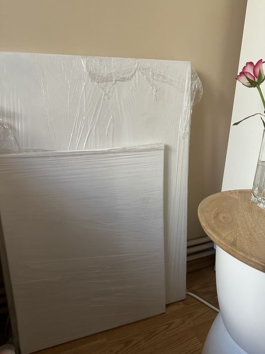 Panza pe sasiu pictura