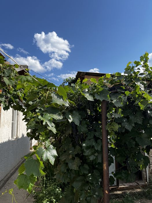 Продам Дом в районе Мичурино