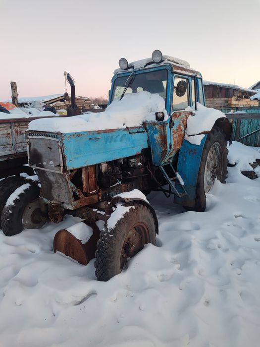 МТЗ 80 продам или обмен на жеребят