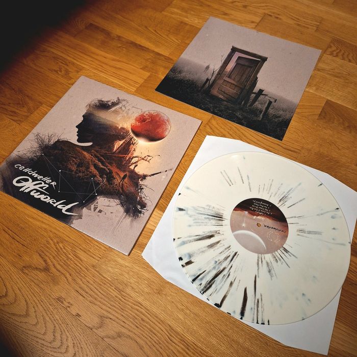 Vinyl LP грамофонни плочи